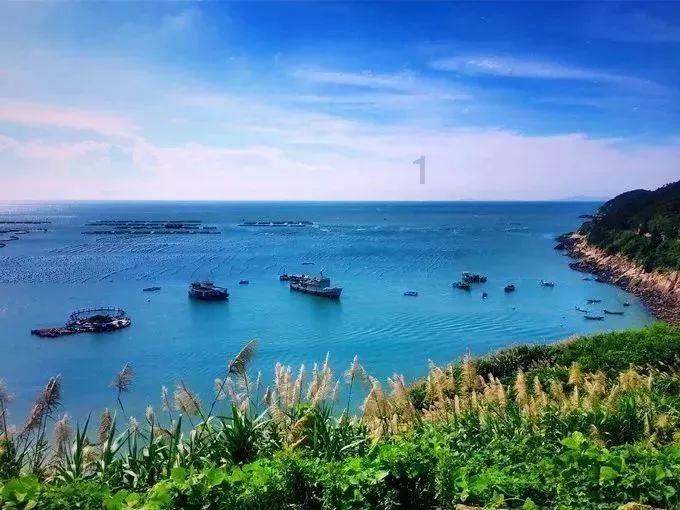 解答你的疑问,尽在250安空气开关断路器3p100a160a400a透明三相电空开380v+保险丝在哪里?